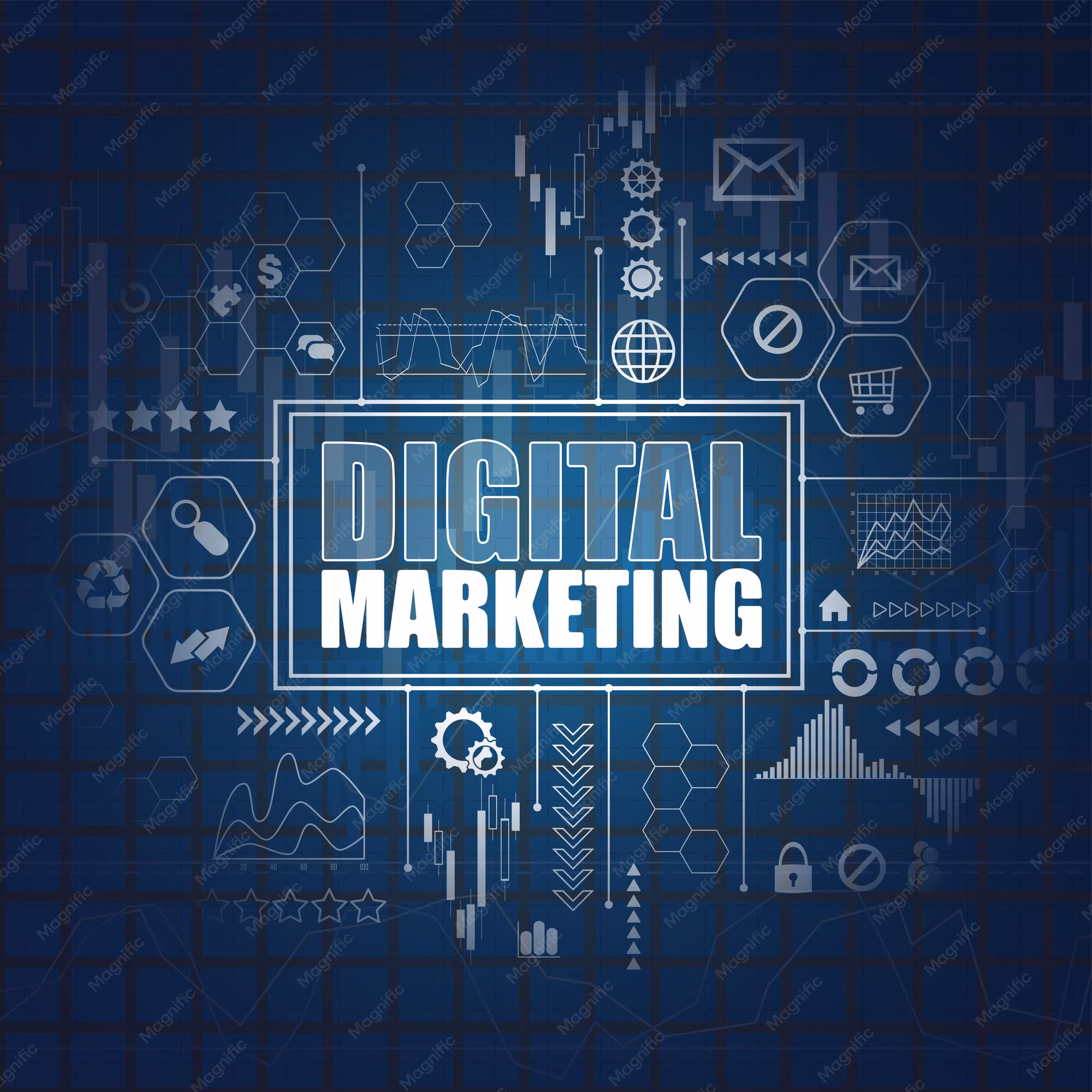 Top digital marketing freelancer in feroke
